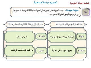 ‫العينة‬‫مجموعة‬ ‫كل‬ ‫من‬ ‫الحيوانات‬ ‫أزواج‬
‫المجتمع‬‫الحديقة‬ ‫في‬ ‫الحيوانات‬ ‫جميع‬
‫التصني‬‫ف‬‫طبقية‬ ‫عشوائية‬
‫السبب‬‫فئات‬ ‫إلى‬ ‫قسمت‬ ‫الحيوانات‬ ‫ألن‬
 