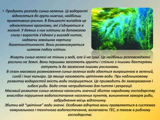 • Продукти розпаду синьо-зелених. Ці водорості
відносяться до групи нижчих, найбільш
примітивних рослин. В більшості випадків це
одноклітинні організми, які з’єднуються в
колонії. У деяких з них клітини за допомогою
слизу і виростів з’єднані у вигляді ниток,
надаючи зовнішню картину
багатоклітинності. Вони розмножуються
шляхом поділу клітин.
Живуть синьо-зелені не тільки у воді, але й на суші. Це найбільш розповсюджені
рослини на Землі. Вони першими заселяють грунти і спільно з іншими бактеріями
готують їх до засвоєння іншими рослинами.
В сезон масового розмноження синьо-зелених вода здається викрашеною в зелений,
синій і інші кольори. Це явище називають цвітінням води. При надлишковому
розвитку водоростей якість води погіршується. Це призводить до захворювання і
гибелі риби. Вода стає непридатною для пиття і рекреації.
Масовий розвиток синьо-зелених наносить значний збиток народному господарству
внаслідок порушення водопостачання населених пунктів, виникнення заморів риби,
забруднення місць відпочинку.
Збитки від “цвітіння” води значні. Особливо відчутно вони проявляються в системах
комунального і технічного водопостачання, включаючи ТЕС, а також в рибному
господарстві.
 