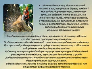 • Мольовий сплав лісу. При сплаві колод
насипом з них, при ударах в береги, каміння і
між собою здирається кора, ламаються
сучки, які осідають на дно річок. До 10 %
тоне і ділових колод. Затонувши деревина,
а також смоли, які виділяються з деревини,
повільно розпадаються, поглинають кисень
і виділяють фенольні і інші шкідливі
речовини, забруднюючи воду.
Вирубка густих кущів на березі річок, що мішають лісосплаву, підсилює
ерозійні процеси, прискорює замулення річок.
Особливо великих збитків мольовий сплав наносить рибному господарству.
При русі колод риба травмується, руйнуються нерестилища, а під впливом
забруднення гине ікра і кормові організми.
Рубка лісу на території водозборів порушує температурний і біологічний
режим річок. Вони міліють, пересихають і випадають із фонду
рибогосподарських угідь. Наслідки лісосплаву проявляються навіть через
багато років після його припинення.
Велика складність полягає в очистці річок від затопленої деревини. Тут
відчувається дефіцит відповідної техніки.
 