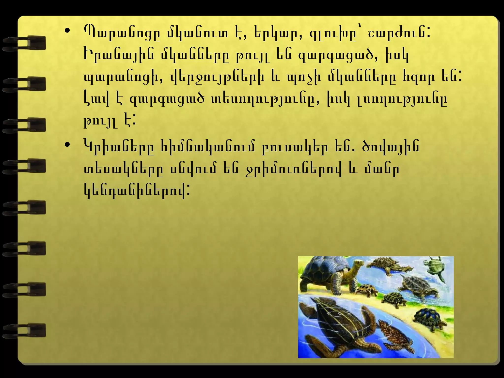 • , , :Պարանոցը մկանուտ է երկար գլուխը՝ շարժուն
,Իրանային մկանները թույլ են զարգացած իսկ
, :պարանոցի վերջույթների և պոչի մկանները հզոր են
,Լավ է զարգացած տեսողությունը իսկ լսողությունը
:թույլ է
• .Կրիաները հիմնականում բուսակեր են ծովային
տեսակները սնվում են ջրիմուռներով և մանր
:կենդանիներով
 