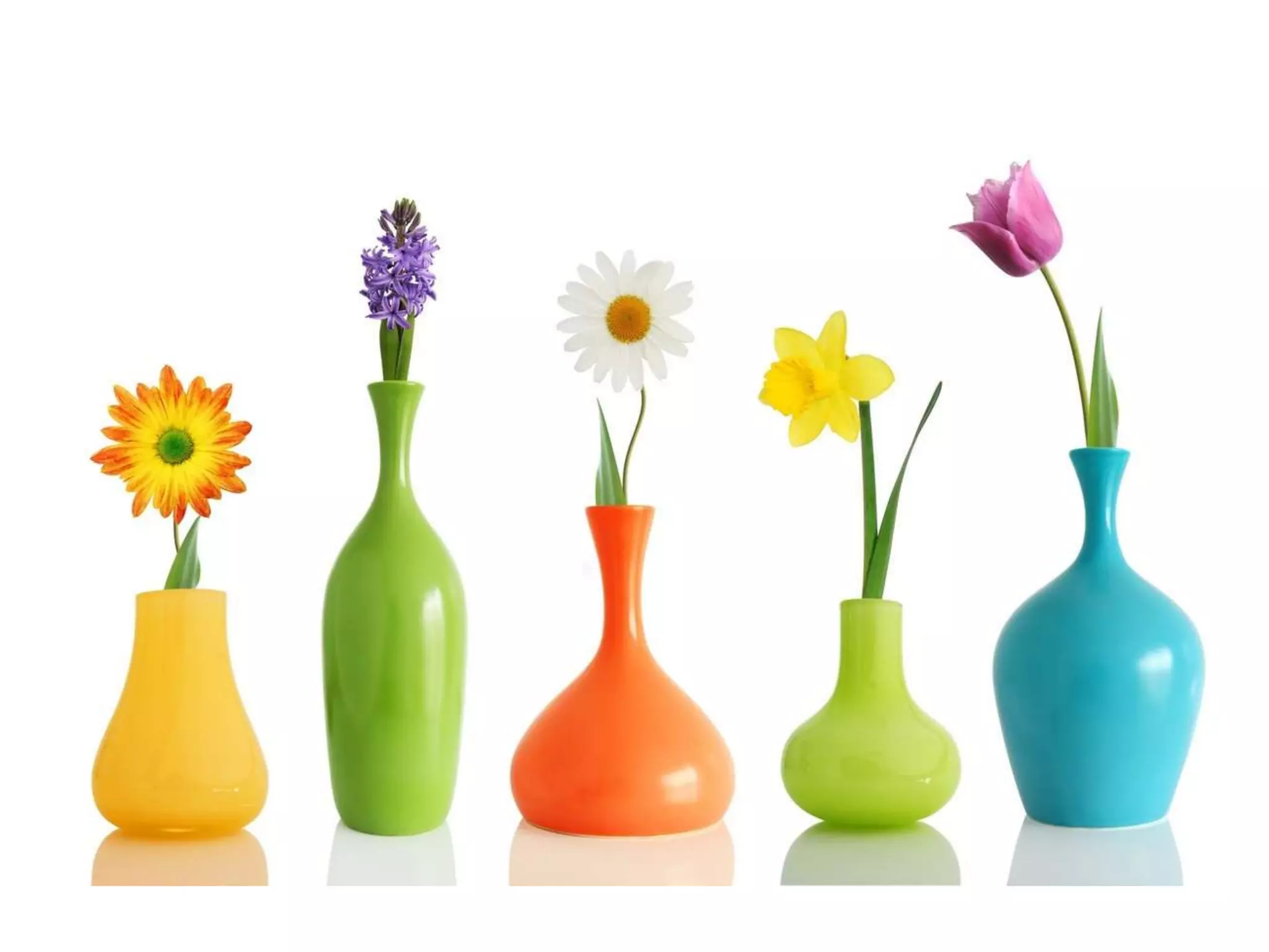 Т.В. Беглова. Зачем учатся разные люди.