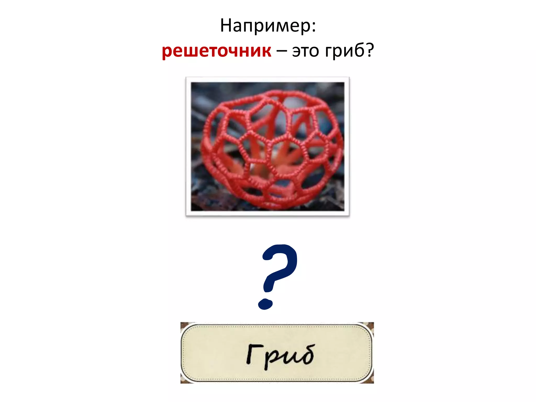 Например:
решеточник – это гриб?
?
 