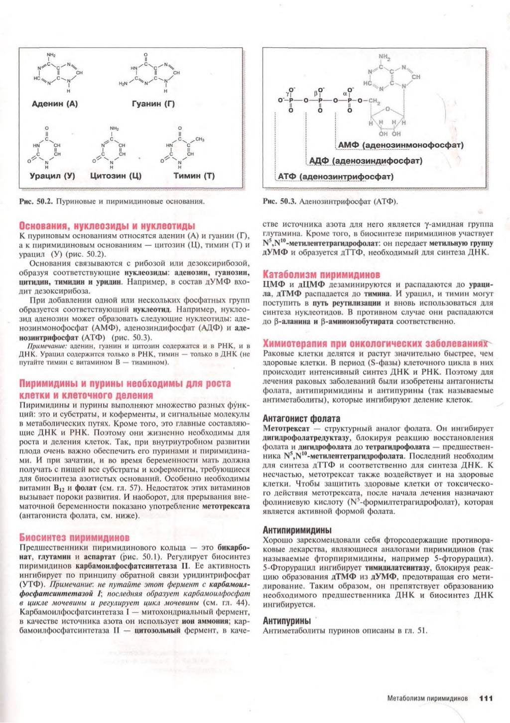 наглядная биохимия
