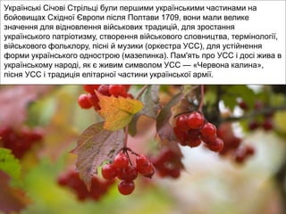 Українські Січові Стрільці були першими українськими частинами на
бойовищах Східної Європи після Полтави 1709, вони мали велике
значення для відновлення військових традицій, для зростання
українського патріотизму, створення військового словництва, термінології,
військового фольклору, пісні й музики (оркестра УСС), для устійнення
форми українського однострою (мазепинка). Пам'ять про УСС і досі жива в
українському народі, як є живим символом УСС — «Червона калина»,
пісня УСС і традиція елітарної частини української армії.
 
