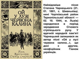 Найвідоміша пісня
Степана Чарнецького (21.
01. 1881, с. Шманьківці,
нині Чортківський район
Тернопільської області —
02. 10. 1944, м. Львів)
народилася в період
зародження Січового
стрілецького руху. У
вдячній народній пам’яті
Чарнецький залишився як
автор пісні «Ой у лузі
червона калина...», що
досі є другим,
неофіційним Гімном
українців.
 