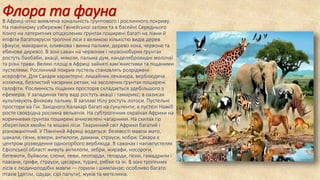 Флора та фаунаВ Африці чітко виявлена зональність ґрунтового і рослинного покриву.
На північному узбережжі Гвінейської затоки та в басейні Середнього
Конго на латеритних опідзолених ґрунтах поширені багаті на ліани й
епіфіти багатоярусні тропічні ліси з великою кількістю видів дерев
(фікуси, макаранги, оливкова і винна пальми, дерево кока, червоне та
ебенове дерево). В зоні саван на червоних і червонобурих ґрунтах
ростуть баобаби, акації, мімози, пальма дум, канделябровидні молочаї
та різні трави. Великі площі в Африці зайняті кам'янистими та піщаними
пустелями. Рослинний покрив пустель становлять розріджені
ксерофіти. Для Сахари характерні: лишайник леканора, верблюдяча
колючка, безлистий чагарник ретам; на засолених ґрунтах поширені
галофіти. Рослинність піщаних просторів складається здебільшого з
ефемерів. У западинах типу ваді ростуть акації і тамарикс; в оазисах
культивують фінікову пальму. В заплаві Нілу ростуть лотоси. Пустельні
простори на Гін. Західного Калахарі багаті на сукуленти; в пустелі Наміб
росте своєрідна рослина вельвічія. На субтропічних окраїнах Африки на
коричневих ґрунтах поширені вічнозелені чагарники. На схилах гір
збереглися хвойні та мішані ліси. Тваринний світ Африки багатий і
різноманітний. У Північній Африці водяться: безхвості мавпи мато,
шакали, гієни, вівери, антилопи, дамани, страуси, кобри. Сахара є
центром розведення одногорбого верблюда. В саванах і напівпустелях
Ефіопської області живуть антилопи, зебри, жирафи, носороги,
бегемоти, буйволи, слони, леви, леопарди, гепарди, гієни, гамадрили і
павіани, грифи, страуси, цесарки, турачі, рябки та ін. В зоні тропічних
лісів є людиноподібні мавпи — горили і шимпанзе; особливо багато
птахів (дятли, одуди, сірі папуги), жуків та метеликів.
 
