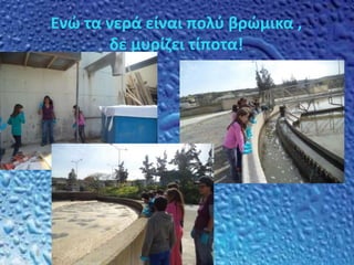Ενώ τα νερά είναι πολύ βρώμικα ,
δε μυρίζει τίποτα!
 