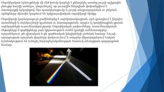 Օպտիկական երևույթների մի մեծ խումբ կարելի է քննարկել առանց լույսի ալիքային
բնույթը հաշվի առնելու, ընդունելով, որ լուսային էներգիան փոխանցվում է
ճառագայթի երկայնքով։ Այս պատկերացումը և լույսի անդրադարձման ու բեկման
օրենքները միասին կազմում են երկրաչափական օպտիկայի հիմքը։
Օպտիկայի կարևորագույն բաժիններից է սպեկտրոսկոպիան, որն զբաղվում է ինչպես
ատոմների և մոլեկուլների կլանման ու ճառագայթման, այպես էլ կոմբինացիոն ցրման
սպեկտրների ուսումնասիրությամբ։ Օպտիկական չափումները, ուսումնասիրման
մեթոդները և գործիքները լայն կիրառություն ունեն կյանքի ամենատարբեր
ոլորտներում, թե գիտական և թե գործնական խնդիրների լուծման համար։ Լույսի
արագության որոշման փորձերը վակուումում և տարբեր միջավայրերում էական
նշանակություն են ունեցել հարաբերականության հատուկ տեսոջթյան զարգացման
համար։
 