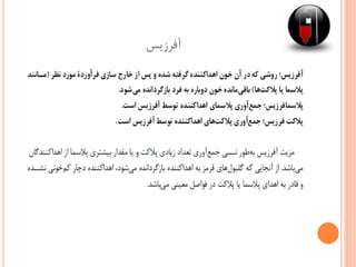 ‫آفرزیس‬
 