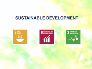 SUSTAINABLE DEVELOPMENT
 