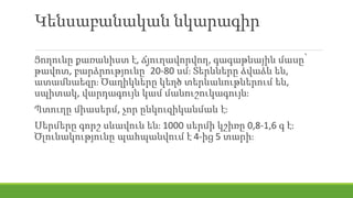 Կենսաբանական նկարագիր
Ցողունը քառանիստ է, ճյուղավորվող, գագաթնային մասը՝
թավոտ, բարձրությունը՝ 20-80 սմ։ Տերևները ձվաձև են,
ատամնաեզր։ Ծաղիկները կեղծ տերևանութներում են,
սպիտակ, վարդագույն կամ մանուշուկագույն։
Պտուղը միասերմ, չոր ընկուզիկանմաև է։
Սերմերը գորշ սևավուն են։ 1000 սերմի կշիռը 0,8-1,6 գ է։
Ծլունակությունը պահպանվում է 4-ից 5 տարի։
 