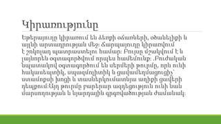 Կիրառությունը
Եթերայուղը կիրառում են ձեռքի օճառների, օծանելիքի և
այլնի արտադրության մեջ։ Ճարպայուղը կիրառվում
է շոկոլադ պատրաստելու համար։ Բույսը մշակվում է և
լայնորեն օգտագործվում որպես համեմունք։ .Բուժական
նպատակով օգտագործում են սերմերի թուրմը, որն ունի
հակասեպտիկ, սպազմոլիտիկ և ցավամեղմացուցիչ`
ստամոքսի խոցի և տասներկումատնյա աղիքի ցավերի
դեպքում։Այդ թուրմը բարերար ազդեցություն ունի նաև
մարսողության և նյարդային գրգռվածության ժամանակ։
 