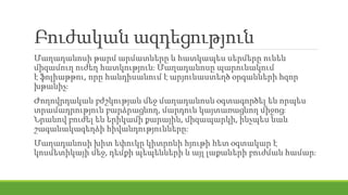 Բուժական ազդեցություն
Մաղադանոսի թարմ արմատները և հատկապես սերմերը ունեն
միզամուղ ուժեղ հատկություն։ Մաղադանոսը պարունակում
է ֆոլիաթթու, որը հանդիսանում է արյունաստեղծ օրգանների հզոր
խթանիչ։
Ժողովրդական բժշկության մեջ մաղադանոսն օգտագործել են որպես
տրամադրություն բարձրացնող, մարդուն կայտառացնող միջոց։
Նրանով բուժել են երիկամի քարային, միզապարկի, ինչպես նաև
շագանակագեղձի հիվանդությունները։
Մաղադանոսի խիտ եփուկը կիտրոնի հյութի հետ օգտակար է
կոսմետիկայի մեջ, դեմքի պեպենների և այլ լաքաների բուժման համար։
 