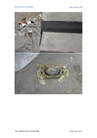 #‫باص_المدونين_البيئين‬Environmental_BlogBus#
‫الغرابلي‬ ‫حسين‬ ‫م.محمد‬Eng.: Mohammed H. Al-Gharably
 