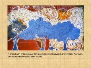 Η απεικόνιση ενός ελαιώνα στη μικρογραφική τοιχογραφία του «Ιερού Άλσους»,
το οποίο ανακαλύφθηκε στην Κνωσό.
 