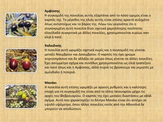 Αμφίσσης
Η συγκομιδή της ποικιλίας αυτής εξαρτάται από το πόσο ώριμος είναι ο
καρπός της. Το μέγεθος της ελιάς αυτής είναι επίσης αρκετά αυξημένο
όπως αντιστοίχως και το βάρος της. Λόγω του γεγονότος ότι η
συγκεκριμένη αυτή ποικιλία δίνει σχετικά χαμηλότερης ποιότητας
ελαιόλαδο συγκριτικά με άλλες ποικιλίες, χρησιμοποιείται κυρίως σαν
ελιά ή πατέ.
Χαλκιδικής
Η ποικιλία αυτή ωριμάζει σχετικά νωρίς και η συγκομιδή της γίνεται
μεταξύ Νοεμβρίου και Δεκεμβρίου. Ο καρπός της έχει χρώμα
κιτρινοπράσινο και δε αλλάζει σε μαύρο όπως γίνεται σε άλλες ποικιλίες.
Έχει ασύμμετρο σχήμα και συνήθως χρησιμοποιείται ως ελιά τραπεζιού
και πατέ όπως και η Αμφίσσης, αλλά συχνά τις βρίσκουμε και γεμιστές με
αμύγδαλο ή πιπεριά.
Μανάκι
Η ποικιλία αυτή επίσης ωριμάζει με αργούς ρυθμούς και η καλύτερη
εποχή για τη συγκομιδή της είναι από το τέλος Ιανουαρίου μέχρι τις
αρχές του Φεβρουαρίου. Ο καρπός της έχει μεσαίες διαστάσεις με οβάλ
σχήμα. Αυτό που χαρακτηρίζει το δέντρο Μανάκι είναι ότι αντέχει σε
υψηλό υψόμετρο, όπου άλλες ποικιλίες εκτός από την Αθηνολιά δε
μπορούν να αποδώσουν.
 