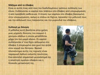 Μάζεμα από το έδαφος
Είναι κι αυτός ένας από τους πιο διαδεδομένους τρόπους συλλογής των
ελιών. Συλλέγονται οι καρποί που πέφτουν στο έδαφος από υπερωρίμανση
ή από προσβολή ασθενειών. Η πτώση των καρπών στο έδαφος βασισμένη
στην υπερωρίμανση, ακόμη κι επάνω σε δίχτυα, προκαλεί την μόλυνσή τους
και την αλλοίωσή τους παίρνοντας και την μυρουδιά του εδάφους.
Συλλογή με δόνηση
Η μέθοδος αυτή βασίζεται στην χρήση
μιας μηχανής δόνησης του κορμού ή
χοντρών κλάδων η οποία μεταδίδεται
μέχρι τον πιο μικρό κλώνο. Οι καρποί
συλλέγονται σ’ ένα δίχτυ απλωμένο στο
έδαφος ή στερεωμένο σαν χωνί πιο ψηλά
στον κορμό του δέντρου. Βασικό
πλεονέκτημα αυτής της τεχνικής είναι
παραγωγή λαδιού εκλεκτής ποιότητας.
Ενώ αποτελεί σημαντικό μειονέκτημά της
η απαίτηση ομαλών εδαφών και η
δύσκολη μετακίνησή της.
 