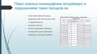 Певні алельні поліморфізми асоційовані із
порушеннями таких процесів як:
- скоротлива функція серця,
- адренергічний сигнальний шлях
у кардіоміоцитах,
- секреція інсуліну,
- синтез тиреоїдних гормонів,
- сигнальний шлях тиреоїдних
гормонів у клітинах-мішенях
 