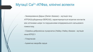 Мутації Са2+-АТФаз, клінічні аспекти
- Захворювання Дарье (Darier disease) – мутація гену
ATP2A2(субодиниця SERCA2), характеризується втратою контактів
між клітинами шкіри та порушеннями епідермального кальцієвого
гомеостазу.
- Сімейна доброякісна пухирчатка (Hailey–Hailey disease - мутація
гена ATP2C1
- Гіпертензія
- Ішемічна хвороба серця
 