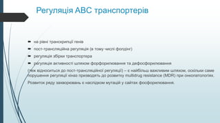 Регуляція ABC транспортерів
 на рівні транскрипції генів
 пост-трансляційна регуляція (в тому числі фолдінг)
 регуляція збірки транспортера
 регуляція активності шляхом форфорилювання та дефосфорилювання
(теж відноситься до пост-трансляційної регуляції) – є найбільш важливим шляхом, оскільки саме
порушення регуляції кіназ призводять до розвитку multidrug resistance (MDR) при онкопатологіях.
Розвиток ряду захворювань є наслідком мутацій у сайтах фосфорилювання.
 