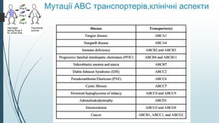 Мутації ABC транспортерів,клінічні аспекти
 