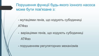 Порушення функції будь-якого іонного насоса
може бути пов'язане з:
- мутаціями генів, що кодують субодиниці
АТФаз
- варіаціями генів, що кодують субодиниці
АТФаз
- порушенням регуляторних механізмів
 