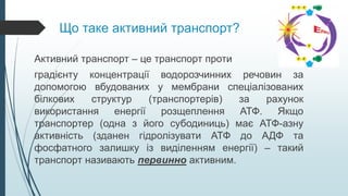Що таке активний транспорт?
Активний транспорт – це транспорт проти
градієнту концентрації водорозчинних речовин за
допомогою вбудованих у мембрани спеціалізованих
білкових структур (транспортерів) за рахунок
використання енергії розщеплення АТФ. Якщо
транспортер (одна з його субодиниць) має АТФ-азну
активність (зданен гідролізувати АТФ до АДФ та
фосфатного залишку із виділенням енергії) – такий
транспорт називають первинно активним.
 