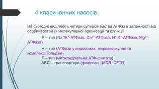 4 класи іонних насосів
На сьогодні виділяють чотири суперсімейства АТФаз в залежності від
особливостей їх молекулярної організації та функції
P – тип (Na+/K+-АТФаза, Ca2+-АТФаза, H+,K+-АТФаза, Mg2+-
АТФаза)
V – тип (АТФази у ендосомах, мікровезикулах та
комплексі Гольджи)
F – тип (мітохондріальна АТФ-синтаза)
ABC – транспортери (фліппази - MDR, CFTR)
 