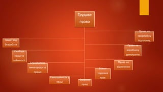 Трудове
право
Захист від
безробіття
Свобода
праці та
зайнятості
Справедлива
винагорода за
працю
Рівноправність у
праці
Охорона
праці
Захист
трудових
прав
Право на
виробничу
демократію
Право на
професійну
підготовку,
Право на
відпочинок
 