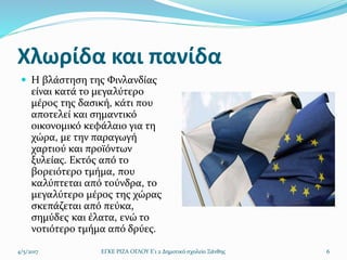 Χλωρίδα και πανίδα
 Η βλάστηση της Φινλανδίας
είναι κατά το μεγαλύτερο
μέρος της δασική, κάτι που
αποτελεί και σημαντικό
οικονομικό κεφάλαιο για τη
χώρα, με την παραγωγή
χαρτιού και προϊόντων
ξυλείας. Εκτός από το
βορειότερο τμήμα, που
καλύπτεται από τούνδρα, το
μεγαλύτερο μέρος της χώρας
σκεπάζεται από πεύκα,
σημύδες και έλατα, ενώ το
νοτιότερο τμήμα από δρύες.
4/5/2017 ΕΓΚΕ ΡΙΖΑ ΟΓΛΟΥ Ε'1 2 Δημοτικό σχολείο Ξάνθης 6
 