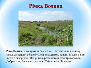 Річка Водяна - ліва притока річки Бик. Протікає на північному
заході Донецької області у Добропільському районі. Впадає в Бик
в селі Криворіжжя. Над річкою розташовані села Криворіжжя,
Добропілля, Водянське, селище Світле, місто Білицьке.
 