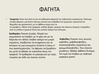 ΦΑΓΗΤΑ
• Τραχανάς: Ήταν ένα από τα πιο συνηθισμένα φαγητά της Λιβισιανής οικογένειας. Νόστιμο,
εύκολο φαγητό, μία ζεστή νόστιμη σούπα για τα βράδια του χειμώνα, περιεκτική σε
θερμίδες και χορταστική, με το άφθονο ψωμί που τη
συντρόφευε. Μέσα στον τραχανά, πολλές φορές, έριχναν και κόκκινη πιπεριά, τσιγαρίδια
από τη μπόλια ή χοιρινό λίπος και γινόταν ακόμη πιο νόστιμος.
Κριθαράκι: Έκαναν ζυμάρι. Μικρά του
κομματάκια τα έτριβαν με το χέρι και με τα
δάχτυλα του άλλου έκοβαν ακόμα πιο μικρά
κομμάτια, στρίβοντας τα συγχρόνως και τα
πέταγαν σε μια ανοιγμένη πετσέτα ή πάνω σ'
ένα τραπεζομάντηλο. Τα άφηναν να ξεραθούν
και μετά τα έβαζαν σε σακούλια όπως τον
τραχανά. Το κριθαράκι το μαγείρευαν με νερό,
ντομάτα και λάδι και έκαναν σούπα.
Κεφτέδες: Έκαναν τους κοινούς
κεφτέδες, ρεβιθοκεφτέδες,
πατατοκεφτέδες (κροκέτες) και
κρεμμυδοκεφτέδες. Τους έκαναν
μεγάλους. Έβαζαν άφθονο δυόσμο.
Τον κιμά τον έκοβαν με κοφτερά
μαχαίρια χιαστί
 