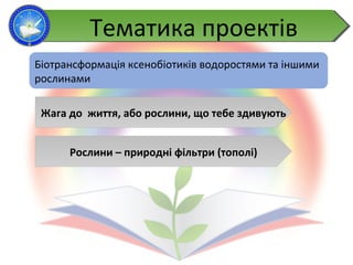 Тематика проектівТематика проектів
Біотрансформація ксенобіотиків водоростями та іншими
рослинами
Жага до життя, або рослини, що тебе здивують
Рослини – природні фільтри (тополі)
 