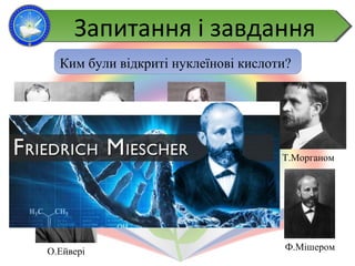 Ким були відкриті нуклеїнові кислоти?
Дж.Уотсоном та Ф.Кріком Т.МорганомМ.Шлейденом
О.Ейвері Ф.Мішером
Запитання і завданняЗапитання і завдання
 