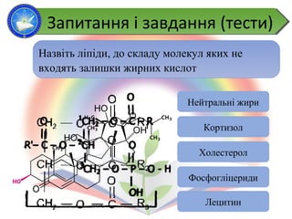 Запитання і завдання (тести)Запитання і завдання (тести)
Назвіть ліпіди, до складу молекул яких не
входять залишки жирних кислот
Нейтральні жири
Кортизол
Холестерол
Фосфогліцериди
Лецитин
 