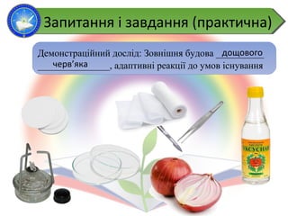 Запитання і завдання (практична)Запитання і завдання (практична)
Демонстраційний дослід: Зовнішня будова __________
_______________, адаптивні реакції до умов існування
дощового
черв’яка
 