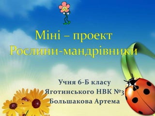 Учня 6-Б класу
Яготинського НВК №3
Большакова Артема
 