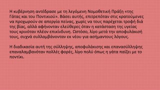 Η κυβέρνηση αντέδρασε με τη λεγόμενη Νομοθετική Πράξη «της
Γάτας και του Ποντικιού». Βάσει αυτής, επιτρεπόταν στις κρατούμενες
να προχωρούν σε απεργία πείνας, χωρίς να τους παρέχεται τροφή διά
της βίας, αλλά αφήνονταν ελεύθερες όταν η κατάσταση της υγείας
τους κρινόταν πλέον επικίνδυνη. Ωστόσο, λίγο μετά την αποφυλάκισή
τους, συχνά συλλαμβάνονταν εκ νέου για ασήμαντους λόγους.
Η διαδικασία αυτή της σύλληψης, αποφυλάκισης και επανασύλληψης
επαναλαμβανόταν πολλές φορές, λίγο πολύ όπως η γάτα παίζει με το
ποντίκι.
 