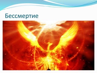 Бессмертие
 