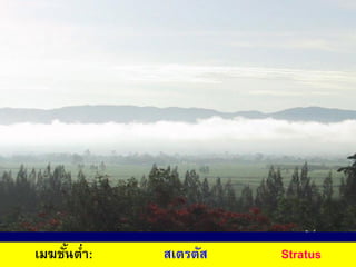 เมฆชั้นต่า: สเตรตัส Stratus
 