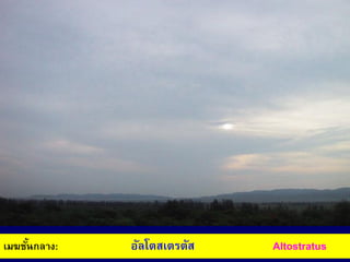 เมฆชั้นกลาง: อัลโตสเตรตัส Altostratus
 