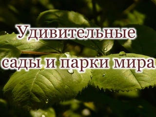 Удивительные
сады и парки мира
 