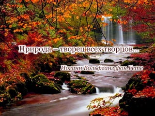 Природа – творец всех творцов…
Иоганн Вольфганг фон Гете
 