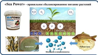 Минералы и микроэлементы
«Sea Power» - правильное сбалансированное питание растений
водоросли Рыбная мука
 