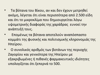 • Τα βότανα του Βίκου, αν και δεν έχουν μετρηθεί
ακόμη, λέγεται ότι είναι περισσότερα από 2.500 είδη
και ότι το μικροκλίμα που δημιουργείται λόγω
υψομετρικής διαφοράς της χαράδρας ευνοεί την
ανάπτυξή τους.
• Επομένως τα βότανα αποτελούν αναπόσπαστο
κομμάτι της φυσικής και πολιτισμικής κληρονομιάς της
Ηπείρου.
• Ο συνολικός αριθμός των βοτάνων της περιοχής
Ζαγορίου και γενικότερα της Ηπείρου με
εξακριβωμένες ή πιθανές φαρμακευτικές ιδιότητες
υπολογίζεται ότι ξεπερνά το 500.
 