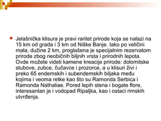  Jelašnička klisura je pravi raritet prirode koja se nalazi na
15 km od grada i 3 km od Niške Banje. Iako po veličini
mala, dužine 2 km, proglašena je specijalnim rezervatom
prirode zbog neobičnih biljnih vrsta i prirodnih lepota.
Ovde možete videti kamene kreacije prirode: dolomitske
stubove, zubce, čučavce i prozorce, a u klisuri živi i
preko 65 endemskih i subendemskih biljaka među
kojima i veoma retke kao što su Ramonda Serbica i
Ramonda Nathaliae. Pored lepih stena i bogate flore,
interesantan je i vodopad Ripaljka, kao i ostaci rimskih
utvrđenja.
 