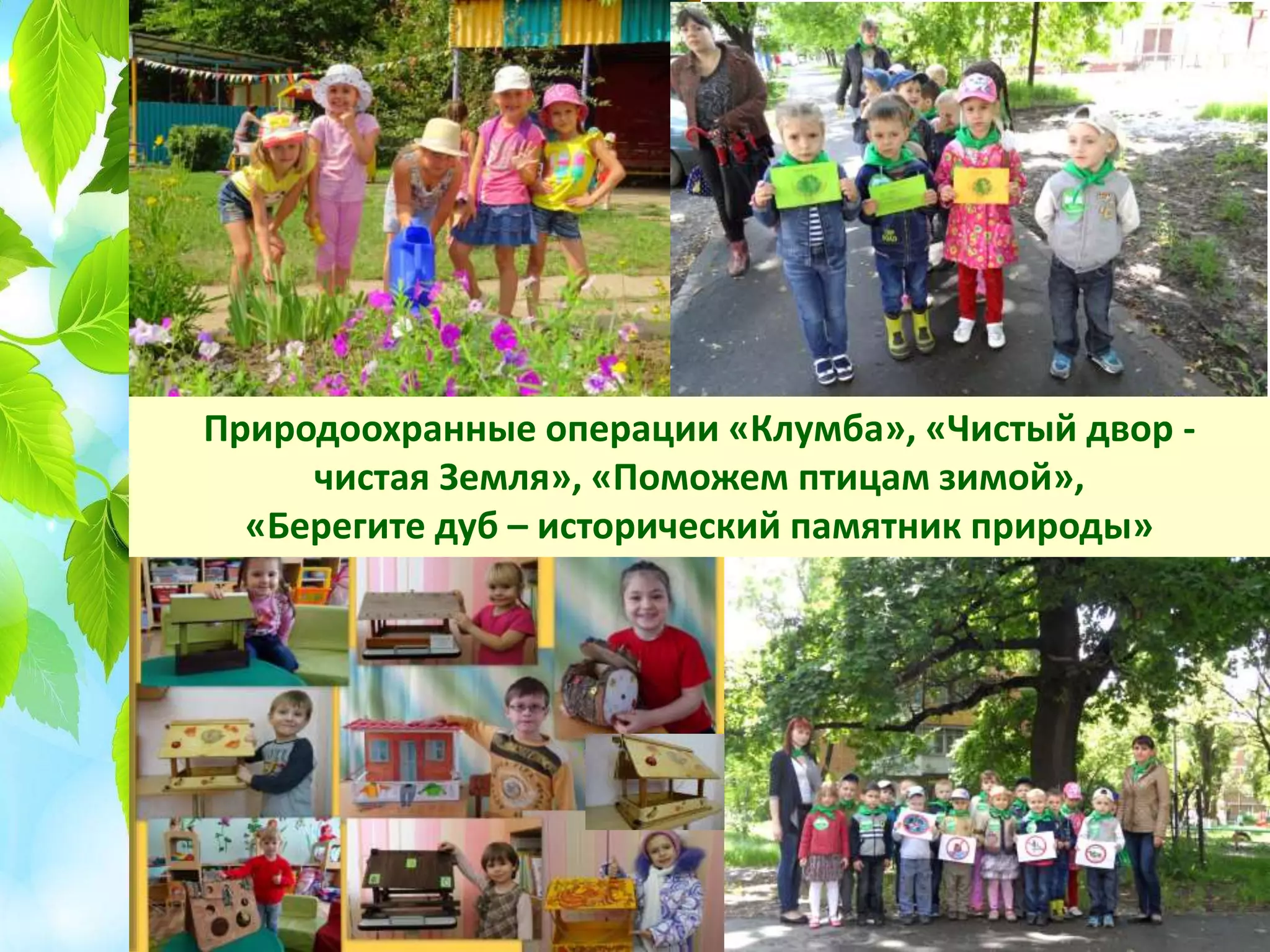 Природоохранные операции «Клумба», «Чистый двор -
чистая Земля», «Поможем птицам зимой»,
«Берегите дуб – исторический памятник природы»
 