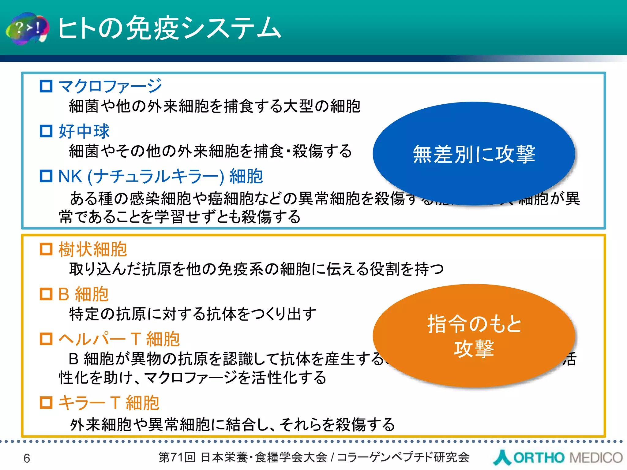 Slide 6