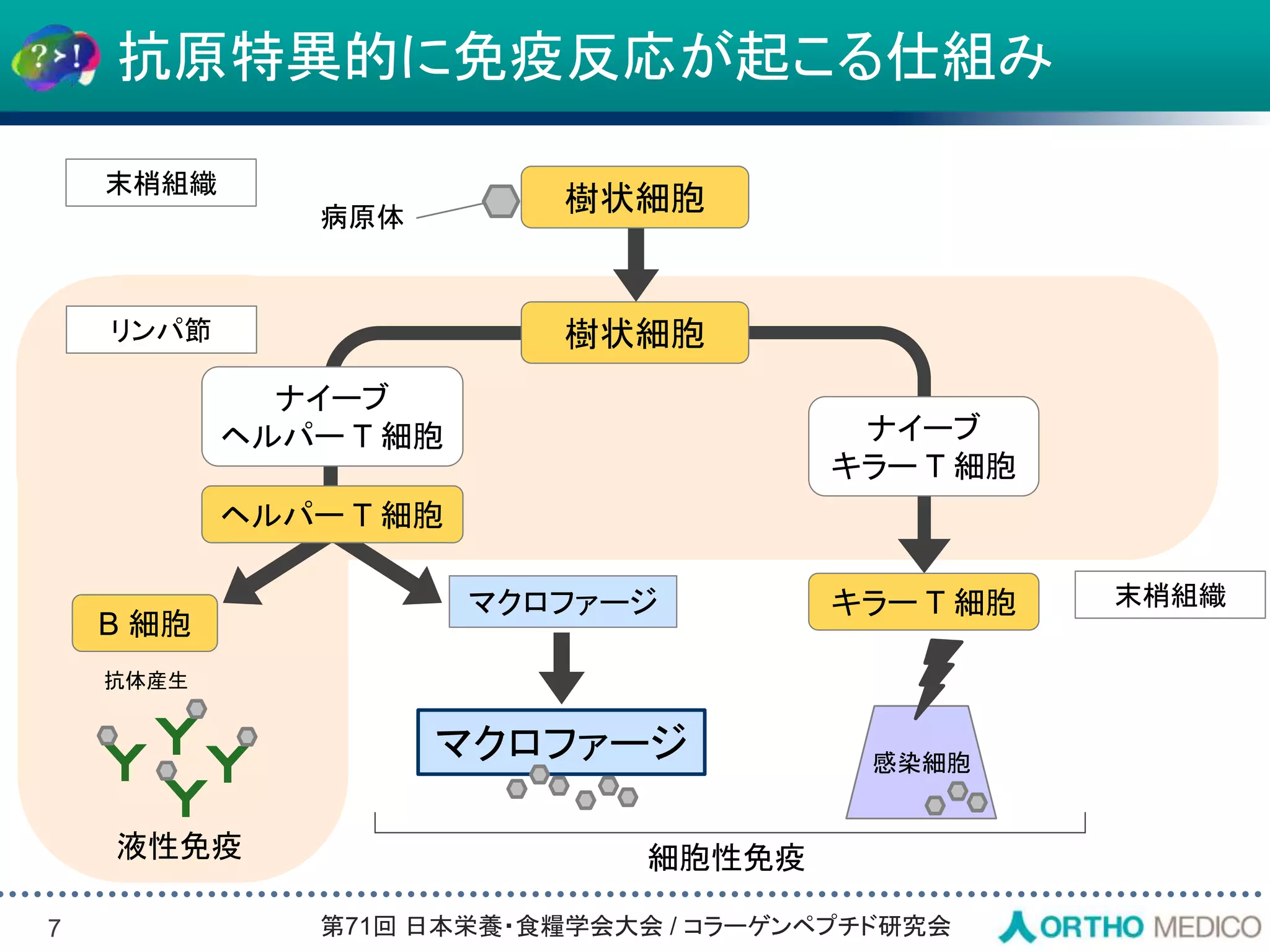 Slide 7