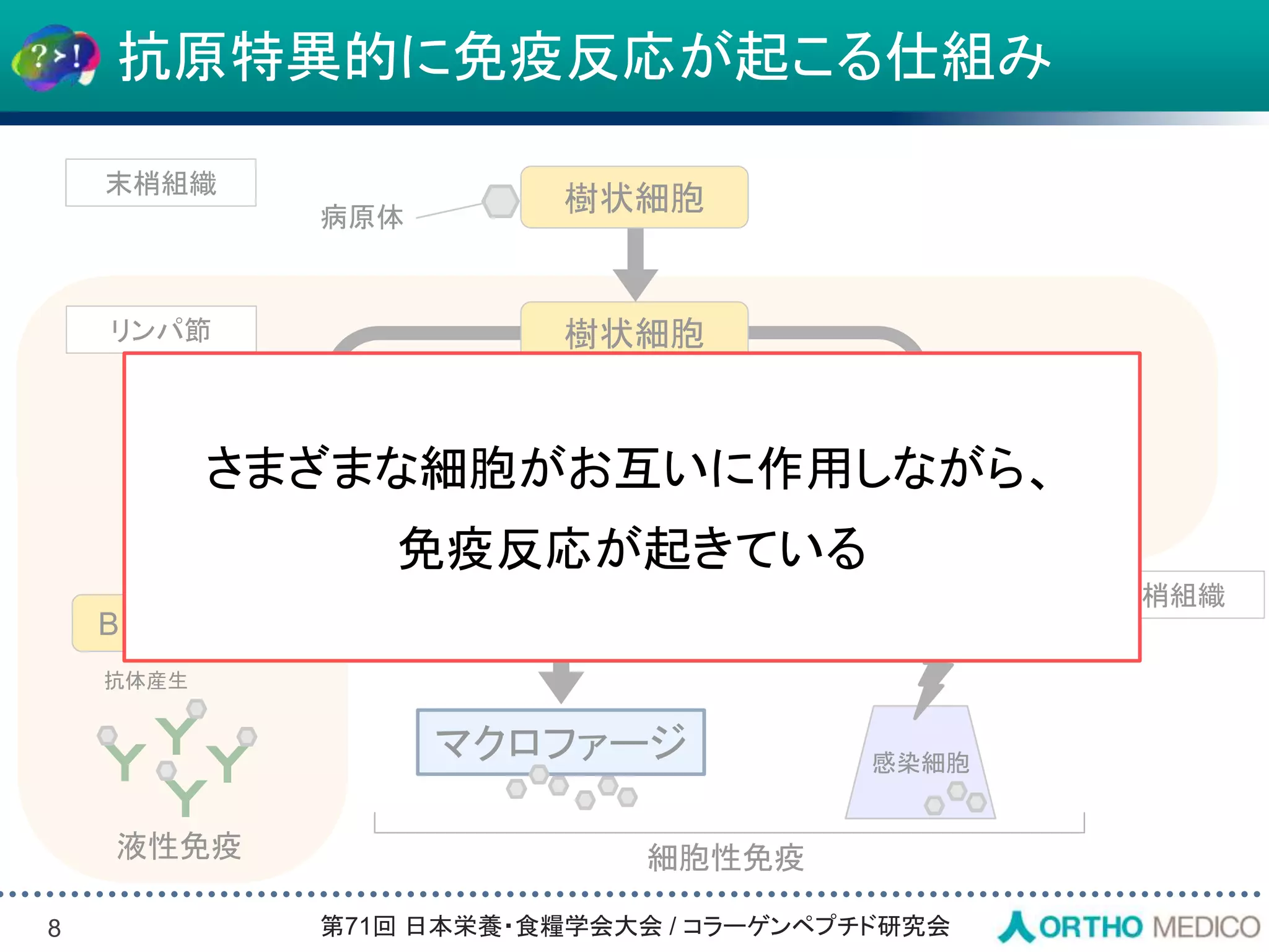 Slide 8